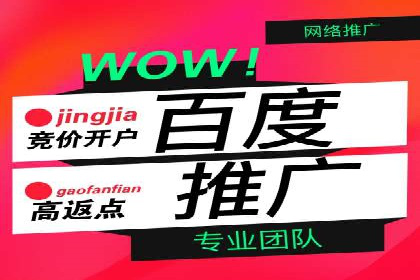 SEM推广策略：成功案例分享与优化技巧